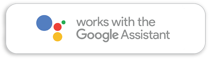 google home