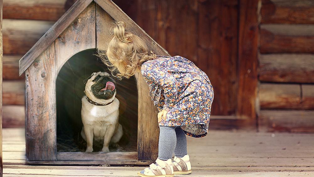 A girl standing in front of a dog house