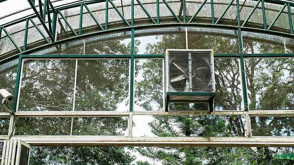 Ventilate your greenhouse using fans