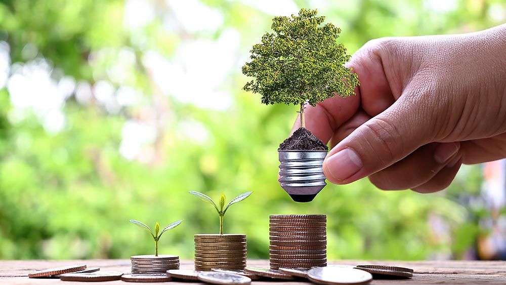 A small tree and a bulb along with coins to demonstrate energy saving