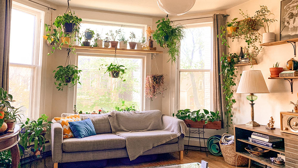 A sunroom decorated with plants